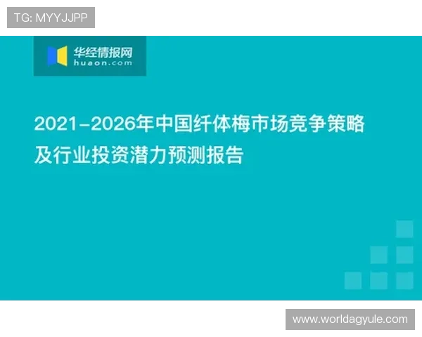 全面解析K8捕鱼王平台的安全保障措施，保障玩家资金与信息安全